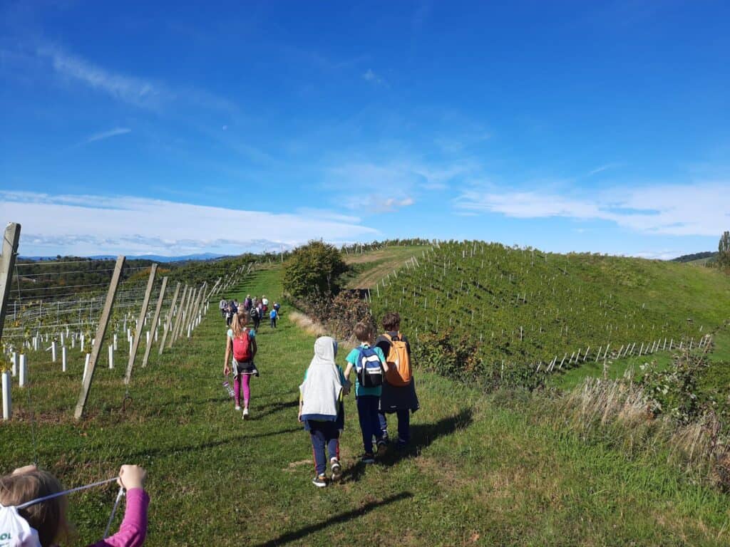 122645391_701644967134144_6484518254981432449_n